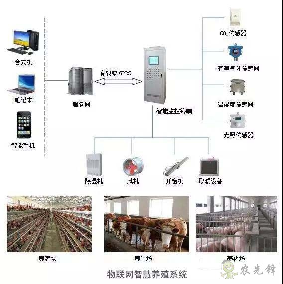 物聯(lián)網在智慧養(yǎng)殖監(jiān)控系統(tǒng)應用
