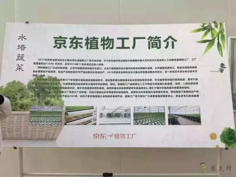 京東的這些“網(wǎng)紅”農(nóng)業(yè)項(xiàng)目，你都知道嗎？