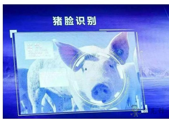 豬臉識別？——阿里巴巴新研發(fā)智能農(nóng)業(yè)平臺
