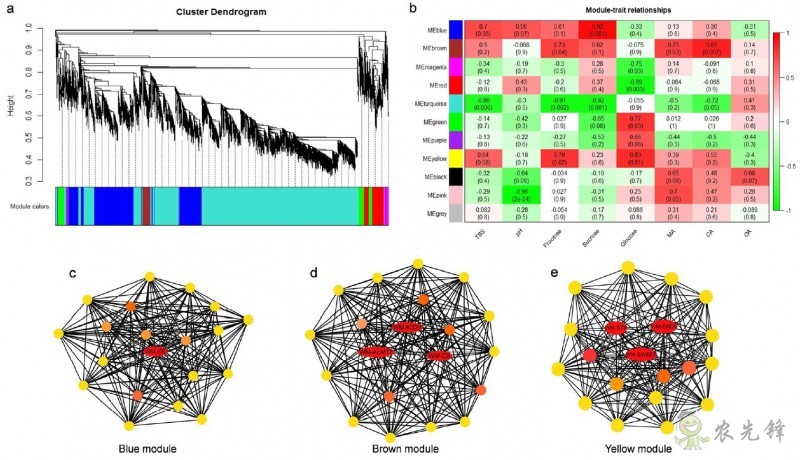 西瓜果實中糖和有機酸的調(diào)控網(wǎng)絡(luò)獲解析