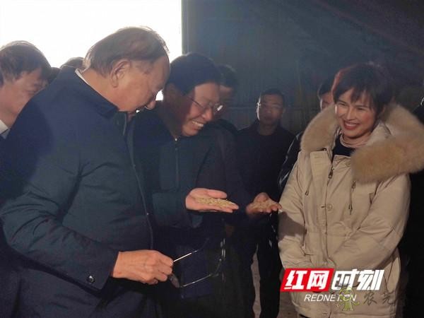 湖南首個(gè)無(wú)人農(nóng)場(chǎng)落戶望城