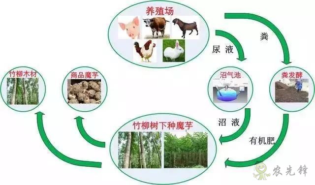 農業(yè)模式