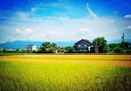 農業(yè)模式