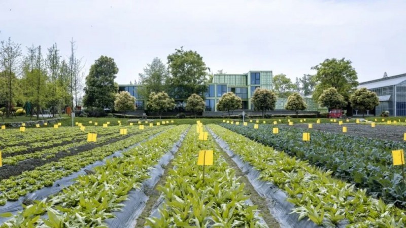 美國科學院研究報告:農(nóng)業(yè)領(lǐng)域亟待突破的五大研究方向