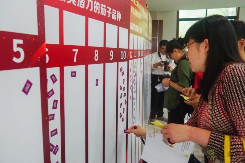 高效果菜新優(yōu)品種品鑒交流會(huì)舉行,一批優(yōu)質(zhì)新品種有望走上市民餐桌