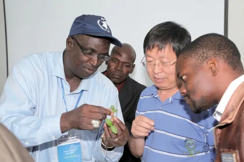 楊凌:強(qiáng)化使命擔(dān)當(dāng) 交好“上合答卷”