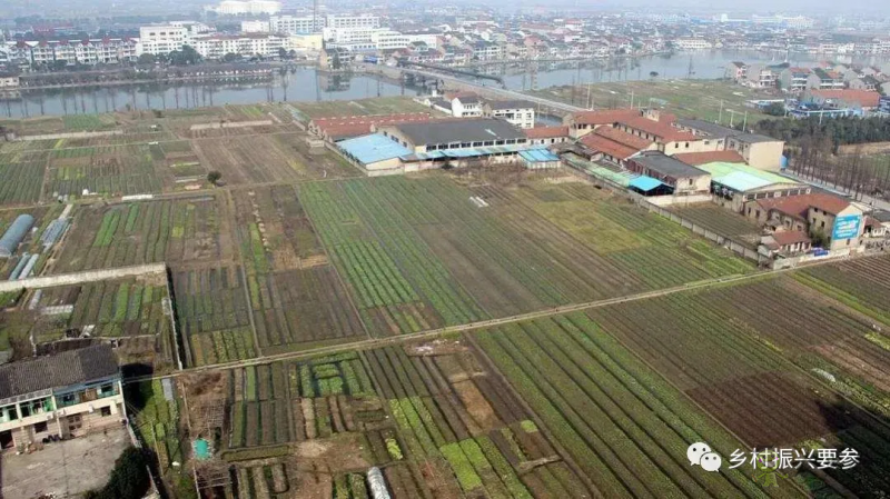 賀雪峰：未來十五年鄉(xiāng)村振興的時(shí)空維度、社會(huì)條件及預(yù)測(cè)