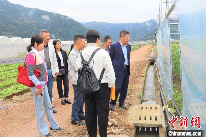 海外專家指導(dǎo)育種 助閩東發(fā)展農(nóng)業(yè)“芯片”