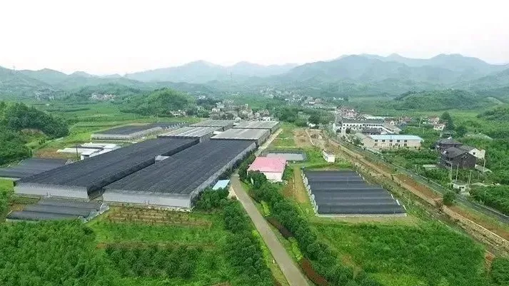 “未來(lái)農(nóng)場(chǎng)”的德清實(shí)踐