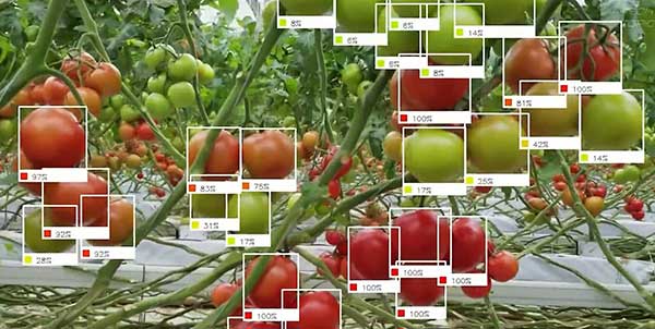 智慧農(nóng)業(yè)的未來(lái)——5款人工智能農(nóng)業(yè)機(jī)器人