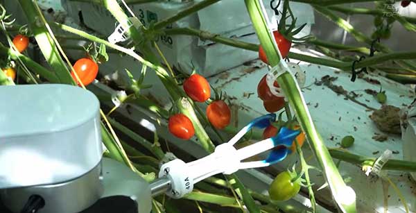 智慧農(nóng)業(yè)的未來(lái)——5款人工智能農(nóng)業(yè)機(jī)器人