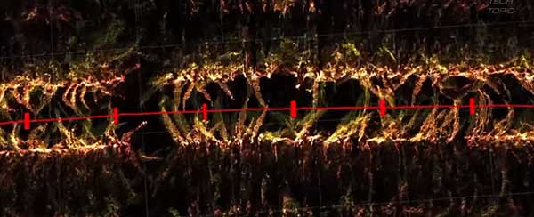 智慧農(nóng)業(yè)的未來(lái)——5款人工智能農(nóng)業(yè)機(jī)器人