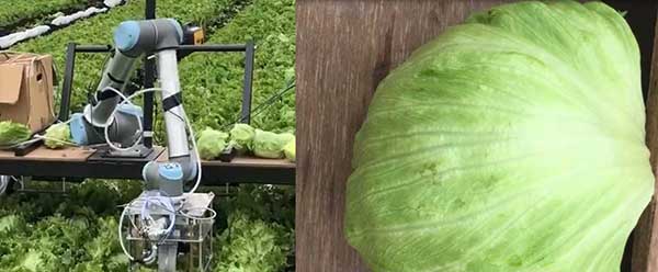 智慧農(nóng)業(yè)的未來(lái)——5款人工智能農(nóng)業(yè)機(jī)器人