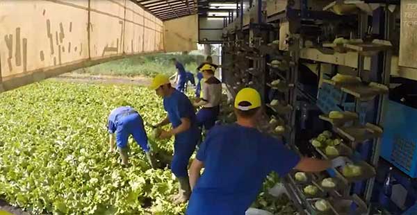 智慧農(nóng)業(yè)的未來(lái)——5款人工智能農(nóng)業(yè)機(jī)器人