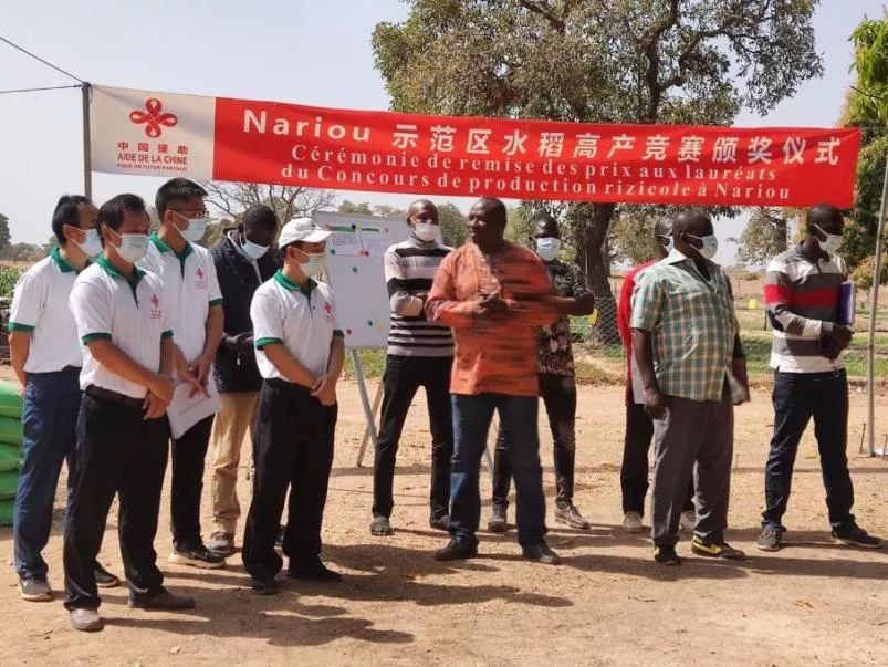 糧食產(chǎn)量高，生活有余裕——中國專家在布開展水稻高產(chǎn)競賽和蔬菜種植培訓