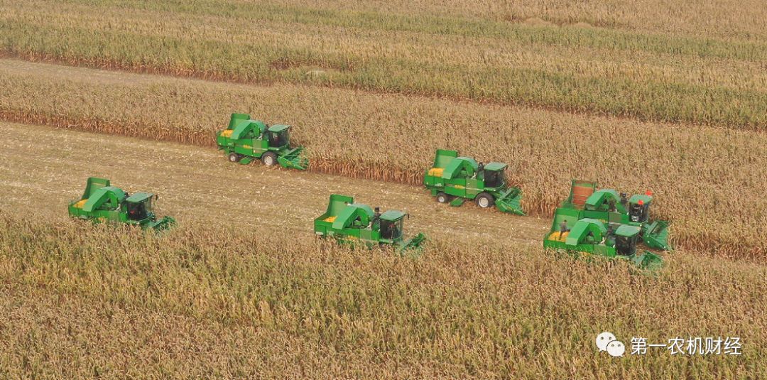 能源糧食價格高漲 數(shù)十國陷政治經(jīng)濟危機 能源糧食價格高漲 數(shù)十國陷政治經(jīng)濟危機