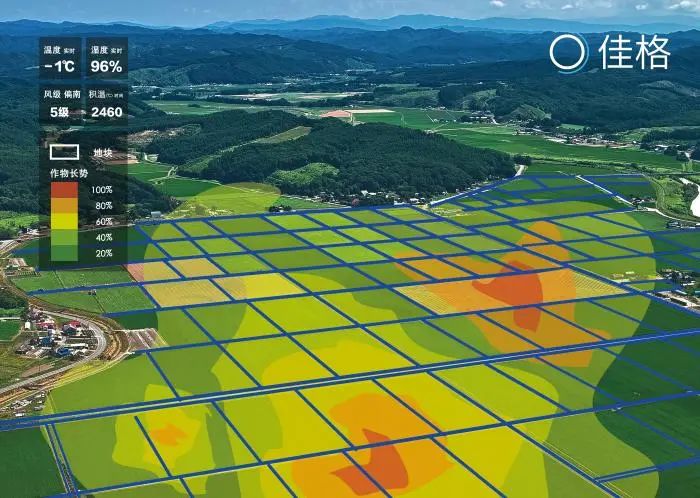 遙感+農業(yè) 從“看天吃飯”到“知天而作”