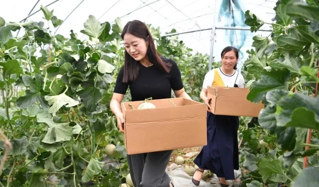 【縣域農(nóng)業(yè)】縣域是未來農(nóng)業(yè)品牌建設的主戰(zhàn)場！