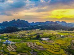 【縣域農(nóng)業(yè)】縣域是未來(lái)農(nóng)業(yè)品牌建設(shè)的主戰(zhàn)場(chǎng)！