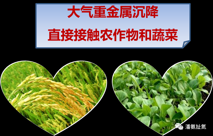 大氣沉降已成為華北農(nóng)田土壤鎘的主要來(lái)源