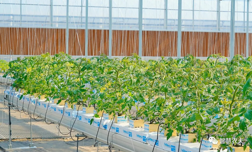 農(nóng)業(yè)部出手，智慧農(nóng)業(yè)將迎來七個方面全面突破！