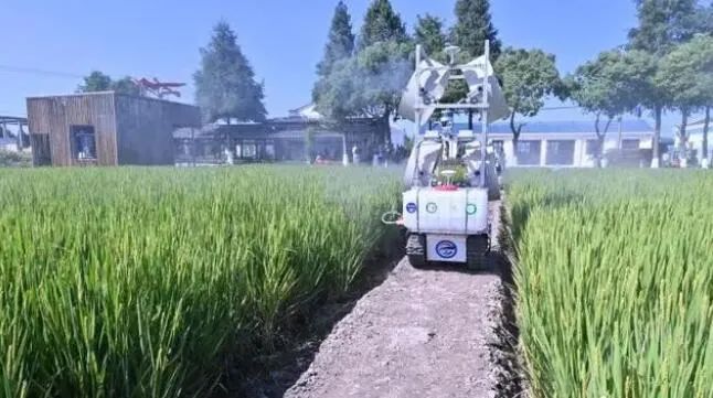 上海智慧農(nóng)場(chǎng):5G讓無人農(nóng)機(jī)在田間“跑”起來 上海智慧農(nóng)場(chǎng):5G讓無人農(nóng)機(jī)在田間“跑”起來