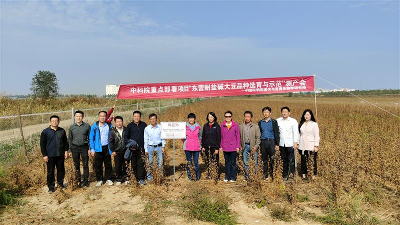 耐鹽大豆新品系完成實收測產(chǎn) 畝產(chǎn)達270公斤以上