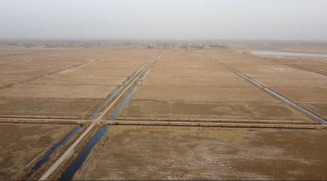 陜西榆林：6000余畝高標準農(nóng)田，緣何撂荒7年？