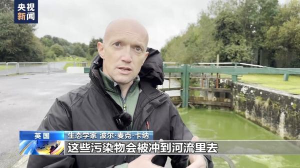 英國(guó)最大淡水湖有毒藍(lán)綠藻暴發(fā) 污染因何而來(lái)？